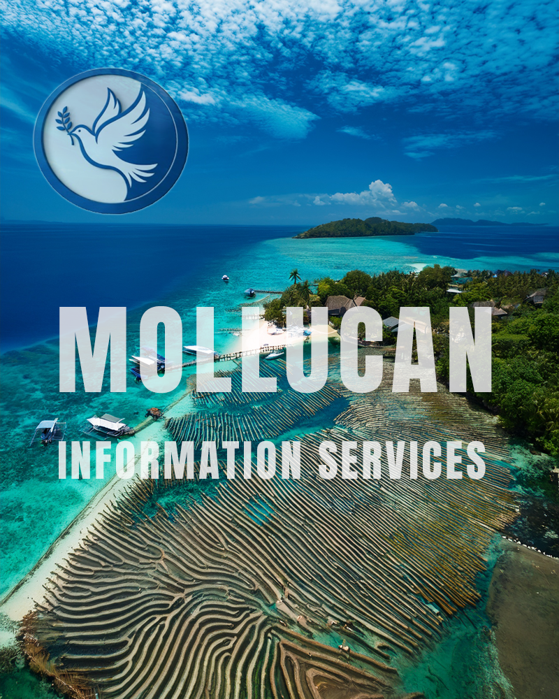 Mollucan team or office